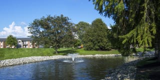 Emerson Village Gallery 22