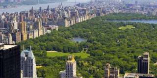 60 East 55th Street Gallery 10