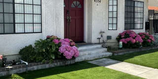 4354 138th Street - D Gallery 20