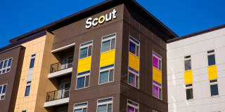 Scout on the Circle Gallery 29
