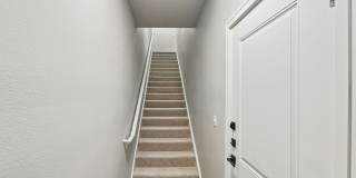 The Walton Gallery 14