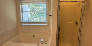 10411 Hellebore Road Gallery 21