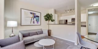 Rafael Town Center Gallery 9