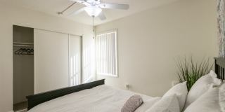 Princeton Court Princeton Court Gallery 27