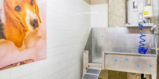 Windsor at Broadway Station Gallery 40