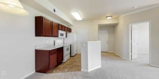 Alexis at Perry Pointe Gallery 84