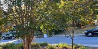 82 Mount Clare Avenue 82 Mount Clare Avenue Gallery 15