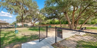 Roots at Boerne Gallery 16