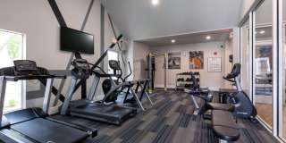 Emerson at Ford Park Gallery 10