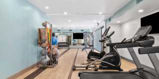 The Elinor Gallery 6