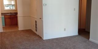 2219 Pine Shore Court Gallery 3