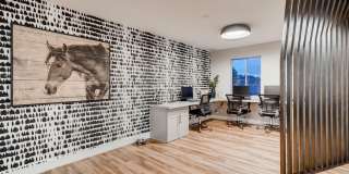 Newgate Apartments Gallery 11