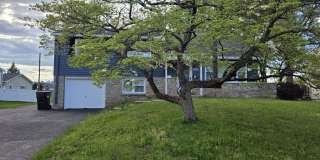 217 CHERRY Lane Gallery 1