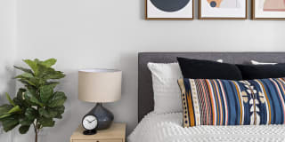 Sofi Lyndhurst Gallery 6