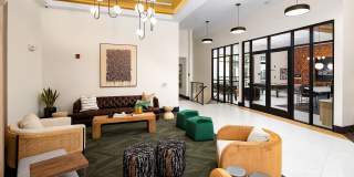 Ava Oakwood Gallery 12