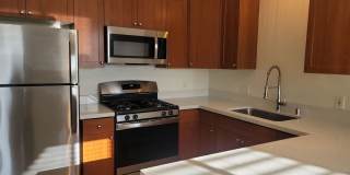Polo Villas Gallery 2