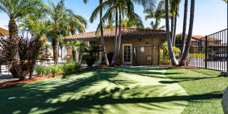 Viewpoint Luxury Apartments Gallery 18