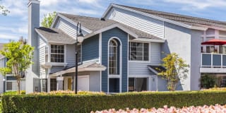 The Highlands Gallery 32