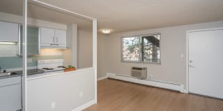 805 Dahlia Gallery 19