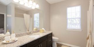 Oakwood Vista Gallery 7