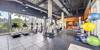 Island View at Waikiki Landmark: Waikiki Luxury Condo w/ Pool, Spa, Gym &amp; Lanais Gallery 34