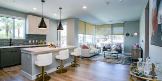 Tanager Echo Gallery 14