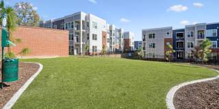 Bluebird on Seventy Gallery 30