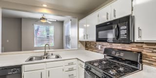 Madison at Black Mountain Gallery 1