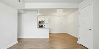 Carrington Square Gallery 51