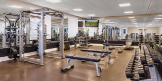 Homecoming at The Preserve Gallery 66