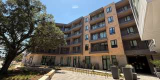 Pearl Springdale Gallery 8