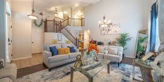 9610 MEDIATOR PASS Gallery 1