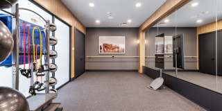 The Waylon Gallery 12