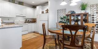 Palmetto Creek Gallery 6