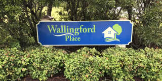Pet Friendly 3 Bedroom, 2 Bath Home with Garage and Fenced In Back Yard! Gallery 3