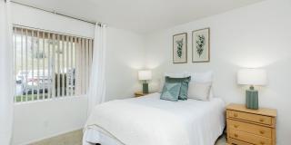 The Terrace Apartments Gallery 61