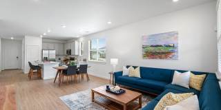 Katy Legacy Gallery 10