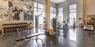 801 Polaris Gallery 8