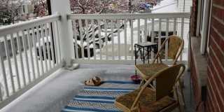 347 herman ave Gallery 1