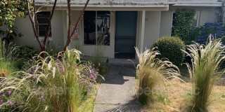 109 Solano Avenue Gallery 1