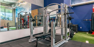 True North Gallery 18