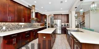 8233 Canetti Street Gallery 15