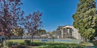 Country Lake Apartments Gallery 3