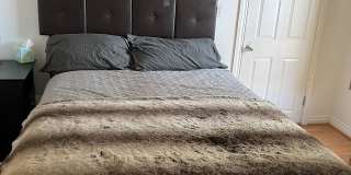 607 Garfield Avenue Gallery 10