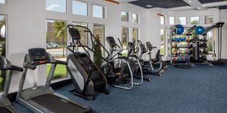 The Local Sugar Hill Gallery 28