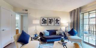 Hilton Head Gallery 4