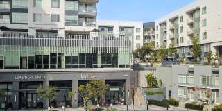 Vive Luxe Gallery 64