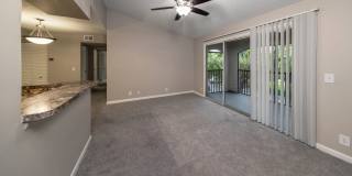 The View at Waters Edge Gallery 55