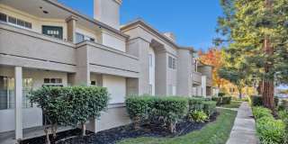 Terra at Portola Park Gallery 24