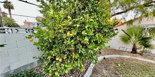 8420 Airmont Court Gallery 38